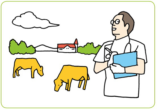 大学の学部学科一覧獣医学部