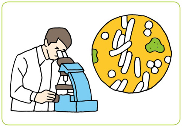 大学の学部学科一覧理学部生物学科