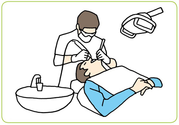 大学の学部学科一覧歯学部